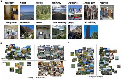 Spatiotemporal cortical dynamics for visual scene processing as revealed by EEG decoding